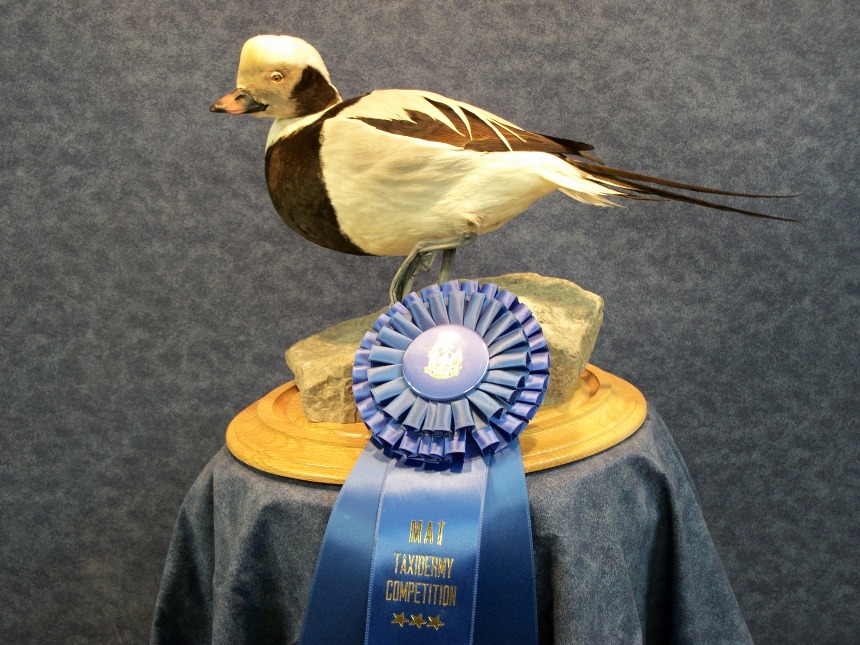 award-7.jpg